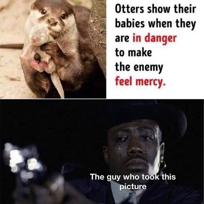 Post from Off Topic Show Memes