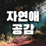 wLdyjxFBNjA-channel-avatar-자연애공감