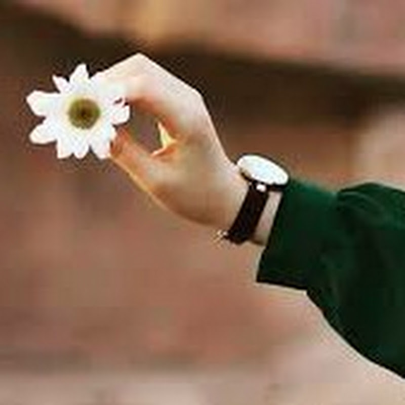 يوميات الماسة 