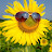 @Solncevserdce-z8g