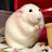 @w..wwwhhy