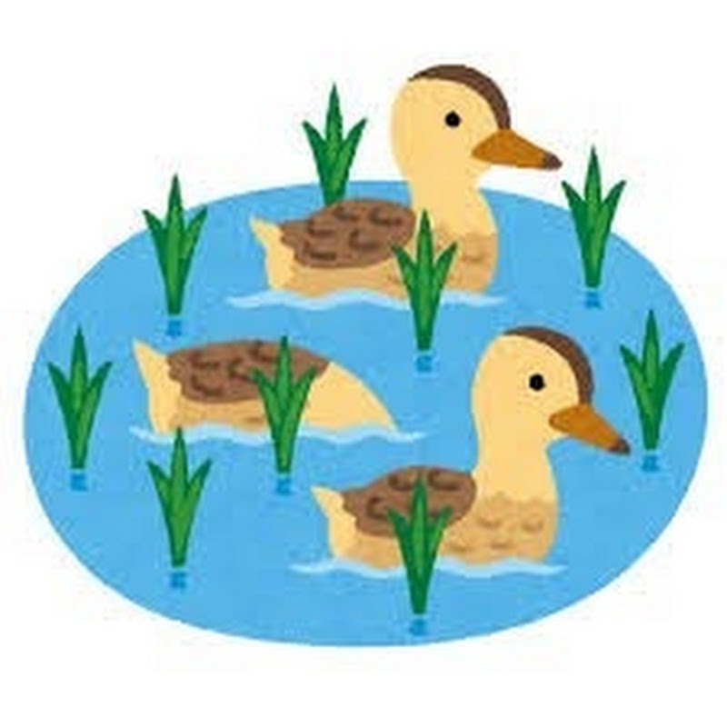 かもなべ塾講師チャンネル