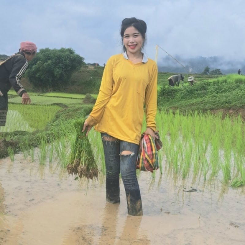 น้องหุ่มสาวเหนือ