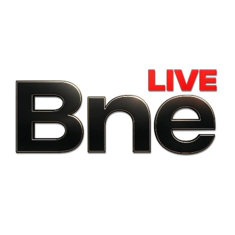 BNE TV - 新西蘭中文國際頻道 Logo