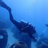 ZKOL-rZ79gs-channel-avatar-Deniz Sasal