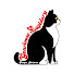 kimkDSG3O5k-channel-avatar-Gearloose Lapidary Inc.