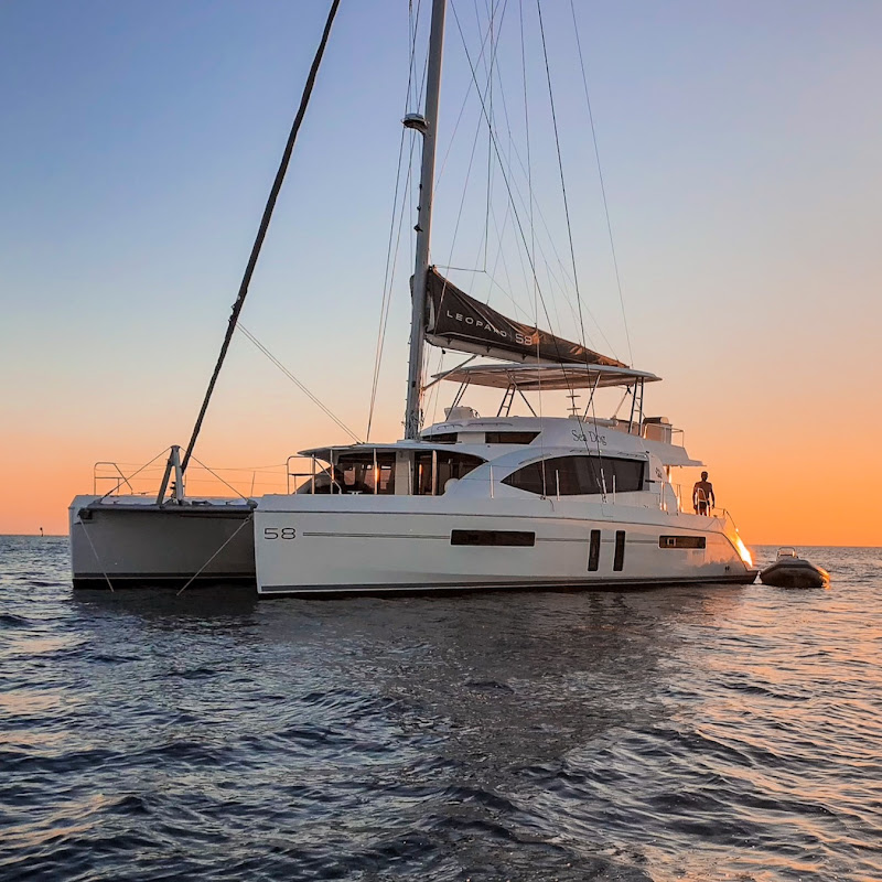 sailingseadog