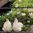@chickendocu