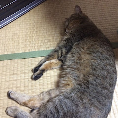 ボーマンダ鈴木