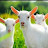 @goat_farming154