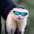 B-rGaWdtrFY-channel-avatar-MirageGt 