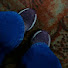 nTrii7u9F_0-channel-avatar-Snejana