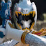 oH-dizU43Q4-channel-avatar-ApexRanger