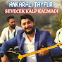 Ankaralı Tayfur - Topic