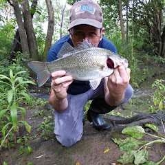 Freshwater Dan