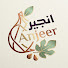 JCe7-NMvMbA-channel-avatar-Anjeer