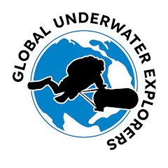 Global Underwater Explorers Avatar