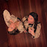 LmWk7IK18bw-channel-avatar-Poppy & Lexie