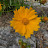 @user-ec4jw2db5n