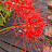 @anxin6588