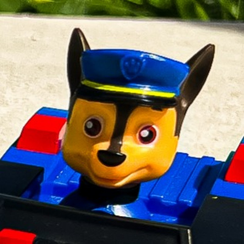 Paw Patrol Kids Live