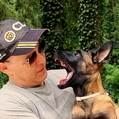 Leben mit Malinois