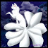 RIxuBM1DXfY-channel-avatar-GhostFolf86