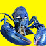 t9VjzRlqhOQ-channel-avatar-Smifter