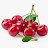 @AhmedAbdullah-g6i