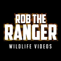 Rob The Ranger Wildlife Videos profile image