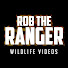 pLiuNwCQiWE-channel-avatar-Rob The Ranger Wildlife Videos