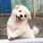 @Emjei-q8k