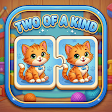 Two Of A Kind: Memory Game icon