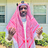 zuobG68j5_8-channel-avatar-Vamadu Tv