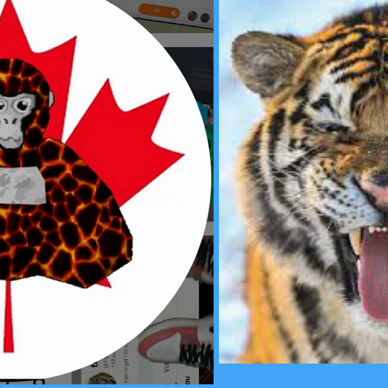 Gtaggodvr and tigervr