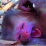 u6_GHHp6CWY-channel-avatar-Nature BABY 