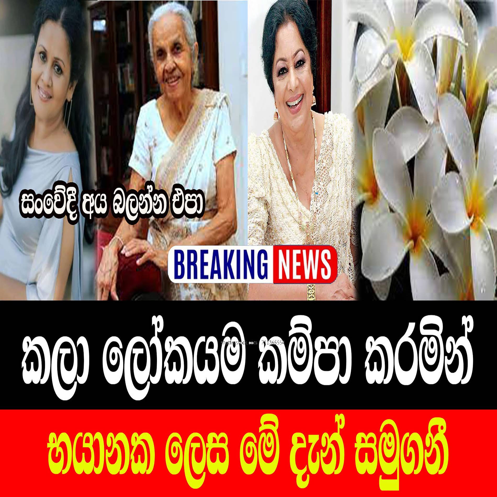 Post from Rata Wata - රට වටා