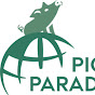 PIG-PARADIGM logo