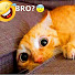 8TSfmEL-xt0-channel-avatar-Chiky Funny