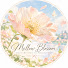 H6fPl02UtAw-channel-avatar-Mellow Blossom