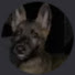 xZvrijk0Mxo-channel-avatar-Faniieliza_Kfer