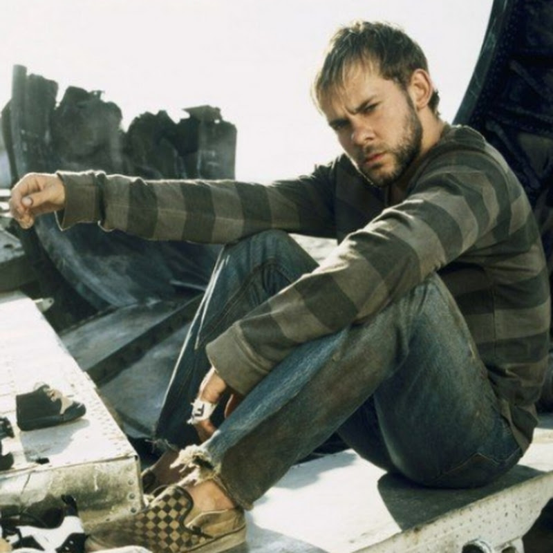 The Fostered Survivor