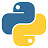 Python Mentor 