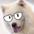 zOsZZl4wTPY-channel-avatar-Meatcore