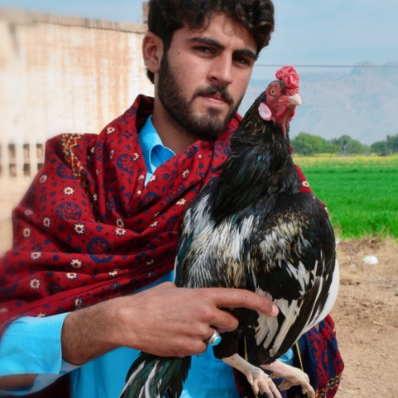 Mazhar Niazi Mianwali