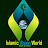 @islamicvisionworld