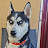 @SkyTheHusky
