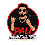 Pali Nawanshahria logo
