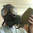 @Mr_ThePlague