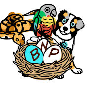 Blessed Nest Pets
